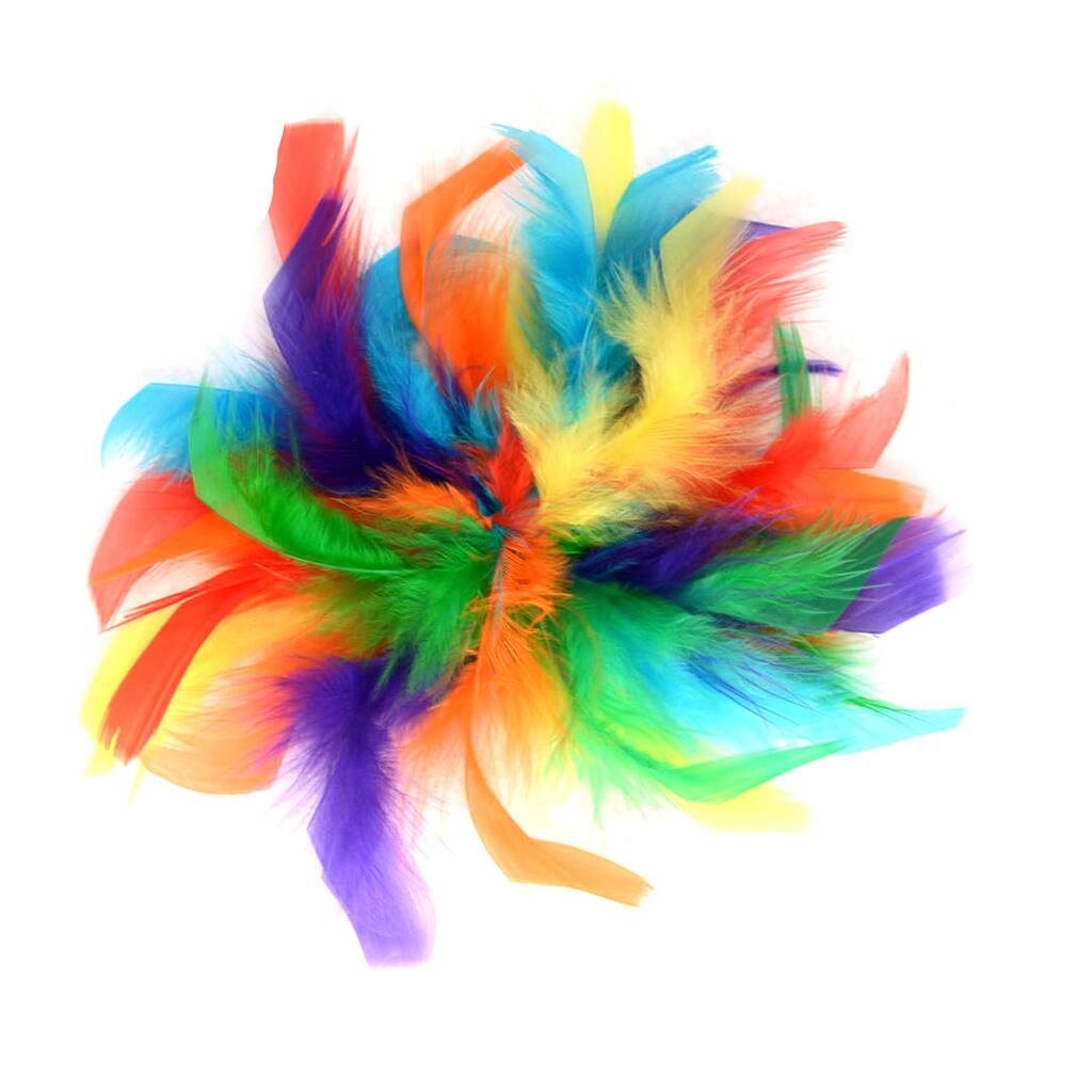10487983.jpg img